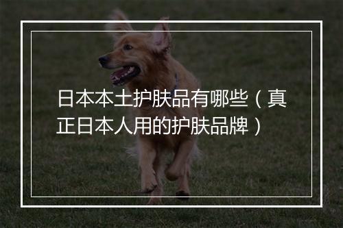日本本土护肤品有哪些（真正日本人用的护肤品牌）