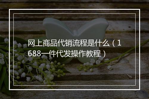 网上商品代销流程是什么（1688一件代发操作教程）