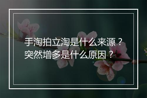手淘拍立淘是什么来源？突然增多是什么原因？