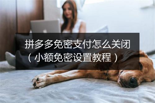 拼多多免密支付怎么关闭（小额免密设置教程）
