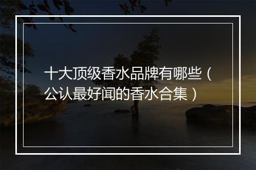 十大顶级香水品牌有哪些（公认最好闻的香水合集）