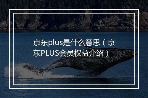 京东plus是什么意思（京东PLUS会员权益介绍）