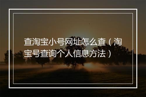 查淘宝小号网址怎么查（淘宝号查询个人信息方法）
