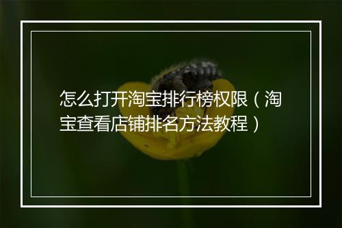 怎么打开淘宝排行榜权限（淘宝查看店铺排名方法教程）