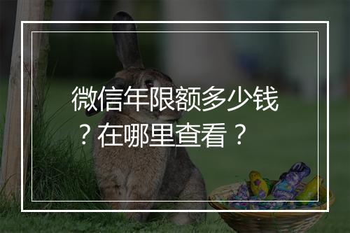 微信年限额多少钱？在哪里查看？