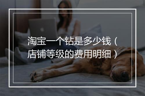 淘宝一个钻是多少钱（店铺等级的费用明细）