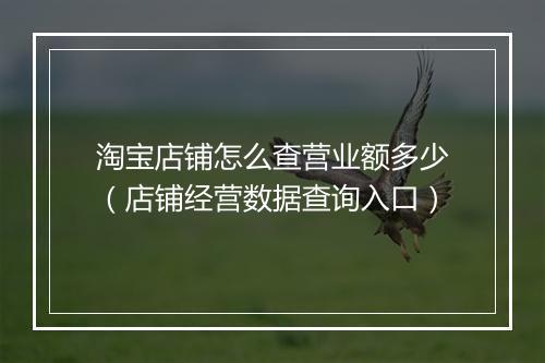 淘宝店铺怎么查营业额多少（店铺经营数据查询入口）