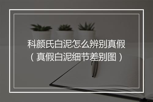 科颜氏白泥怎么辨别真假（真假白泥细节差别图）