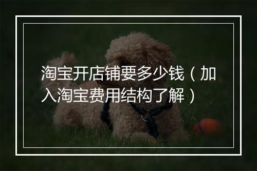 淘宝开店铺要多少钱（加入淘宝费用结构了解）