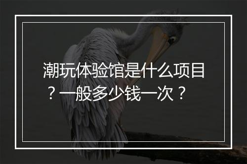潮玩体验馆是什么项目？一般多少钱一次？