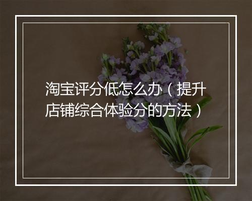 淘宝评分低怎么办（提升店铺综合体验分的方法）