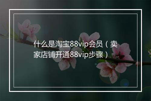 什么是淘宝88vip会员（卖家店铺开通88vip步骤）