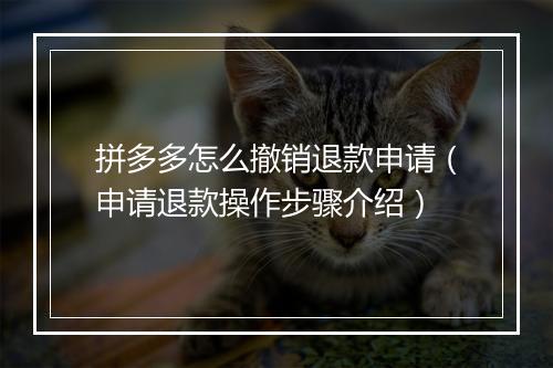 拼多多怎么撤销退款申请（申请退款操作步骤介绍）