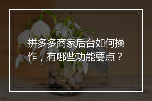 拼多多商家后台如何操作，有哪些功能要点？