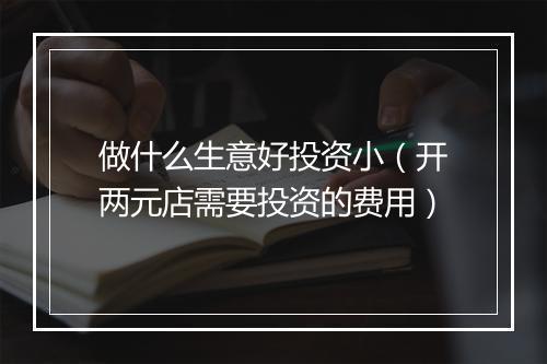 做什么生意好投资小（开两元店需要投资的费用）