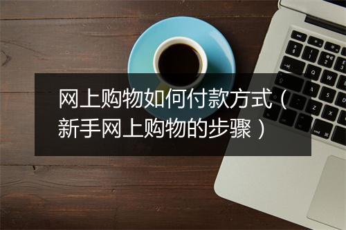 网上购物如何付款方式（新手网上购物的步骤）