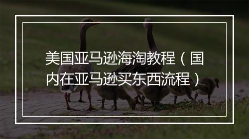 美国亚马逊海淘教程（国内在亚马逊买东西流程）