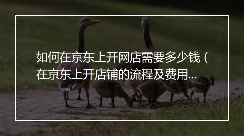 如何在京东上开网店需要多少钱（在京东上开店铺的流程及费用）