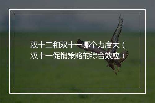 双十二和双十一哪个力度大（双十一促销策略的综合效应）
