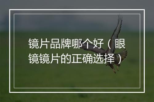 镜片品牌哪个好（眼镜镜片的正确选择）