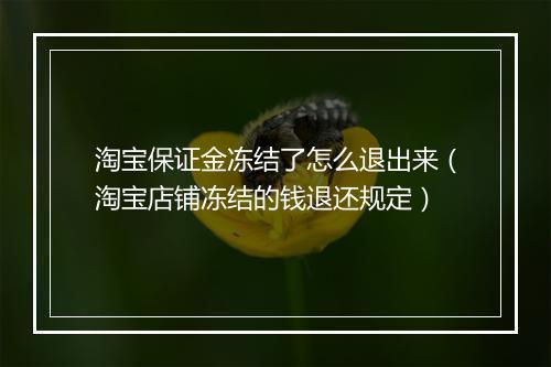 淘宝保证金冻结了怎么退出来（淘宝店铺冻结的钱退还规定）