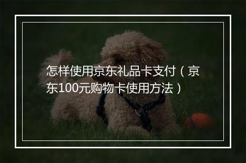 怎样使用京东礼品卡支付（京东100元购物卡使用方法）