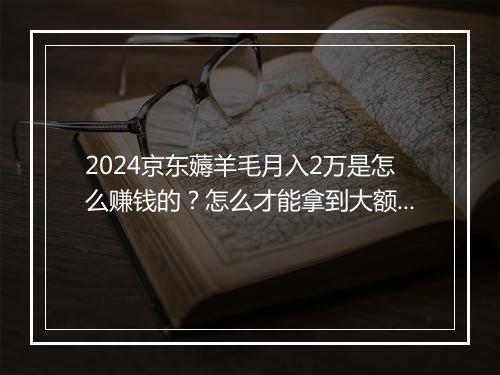 2024京东薅羊毛月入2万是怎么赚钱的？怎么才能拿到大额优惠卷？