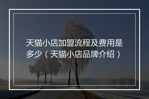 天猫小店加盟流程及费用是多少（天猫小店品牌介绍）