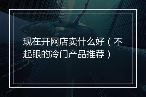 现在开网店卖什么好（不起眼的冷门产品推荐）