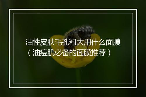 油性皮肤毛孔粗大用什么面膜（油痘肌必备的面膜推荐）