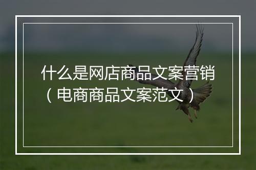 什么是网店商品文案营销（电商商品文案范文）