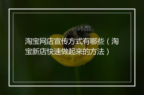 淘宝网店宣传方式有哪些（淘宝新店快速做起来的方法）