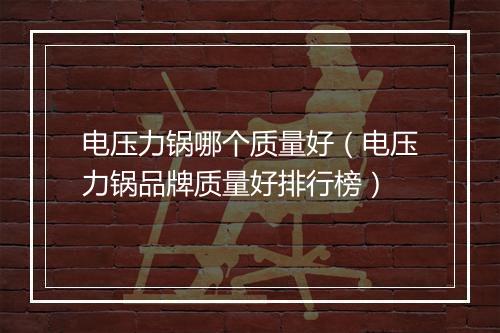 电压力锅哪个质量好（电压力锅品牌质量好排行榜）