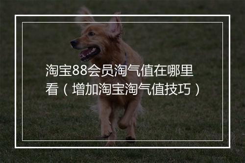 淘宝88会员淘气值在哪里看（增加淘宝淘气值技巧）