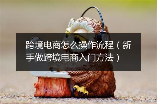 跨境电商怎么操作流程（新手做跨境电商入门方法）