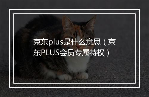京东plus是什么意思（京东PLUS会员专属特权）