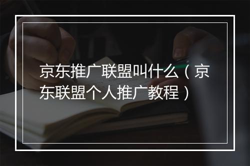 京东推广联盟叫什么（京东联盟个人推广教程）