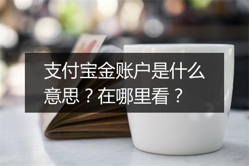 支付宝金账户是什么意思？在哪里看？