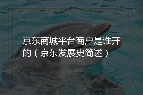 京东商城平台商户是谁开的（京东发展史简述）
