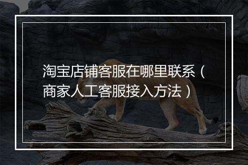 淘宝店铺客服在哪里联系（商家人工客服接入方法）