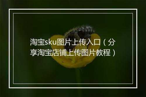 淘宝sku图片上传入口（分享淘宝店铺上传图片教程）
