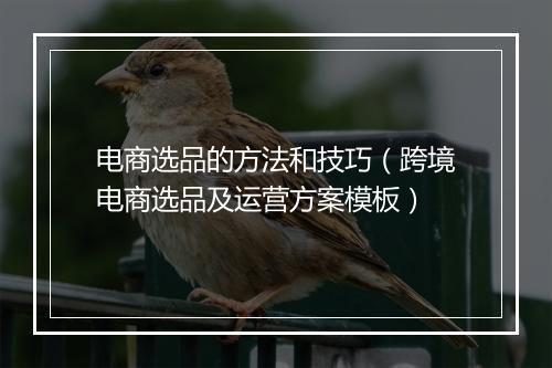 电商选品的方法和技巧（跨境电商选品及运营方案模板）
