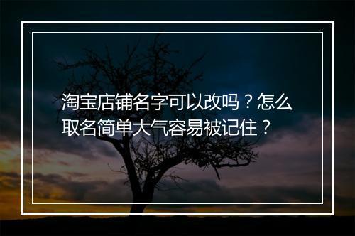 淘宝店铺名字可以改吗？怎么取名简单大气容易被记住？