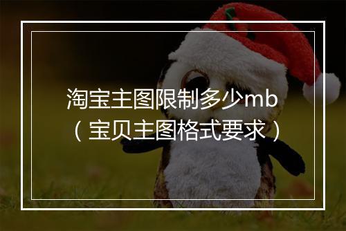淘宝主图限制多少mb（宝贝主图格式要求）