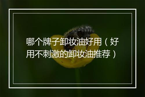 哪个牌子卸妆油好用（好用不刺激的卸妆油推荐）