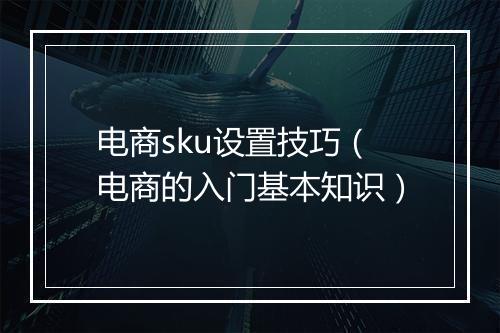 电商sku设置技巧（电商的入门基本知识）