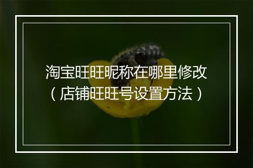 淘宝旺旺昵称在哪里修改（店铺旺旺号设置方法）
