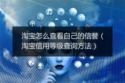 淘宝怎么查看自己的信誉（淘宝信用等级查询方法）