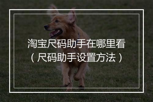 淘宝尺码助手在哪里看（尺码助手设置方法）