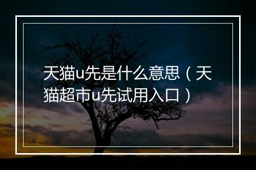 天猫u先是什么意思（天猫超市u先试用入口）
